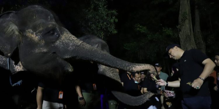Wali Kota Eri Cahyadi  berkeliling menikmati trial opening Surabaya Night Zoo (Foto: Dok Diskominfo Surabaya)