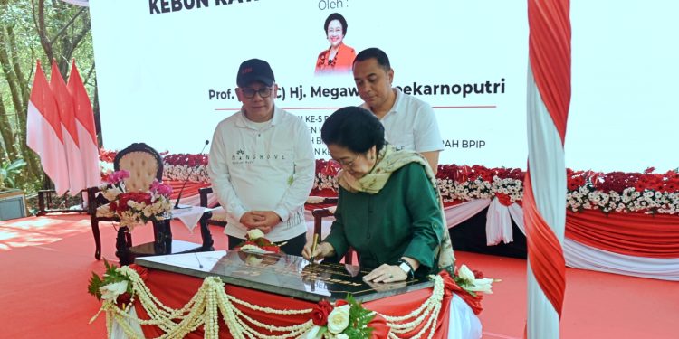 Megawati Soekarnoputri saat meresmikan Kebun Raya Mangrove Surabaya